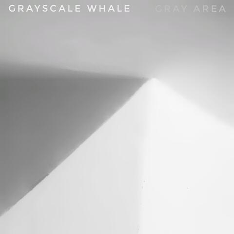 Gray Area