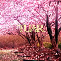 Pēdējā Deja, Pēdējā Dziesma