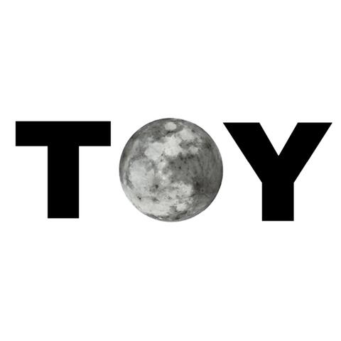 Toy