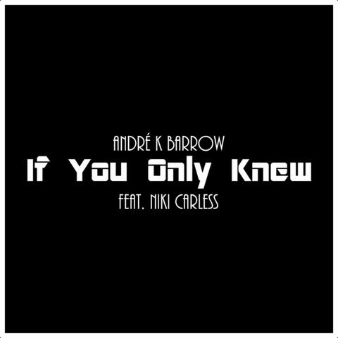 If You Only Knew (feat. Niki Carless)