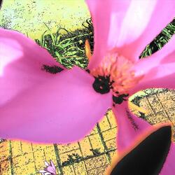 KGB, Vol. 1, Pt. 2: Erotic Erosion