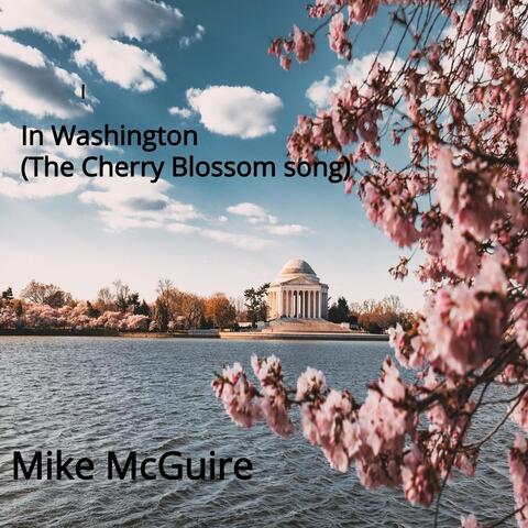 In Washington (The Cherry Blossom Song)