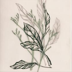 Appalachian Love Song