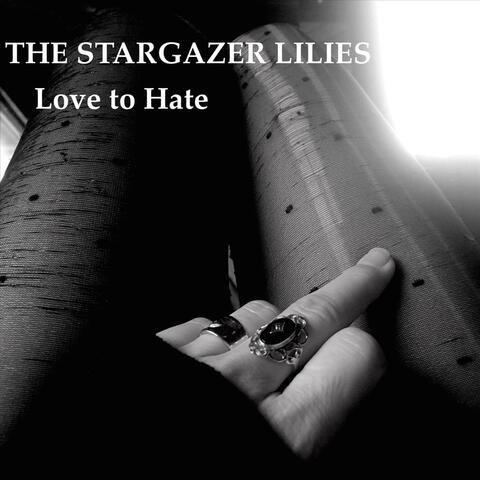 Love to Hate