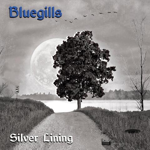 The Bluegills