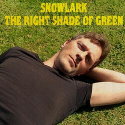 The Right Shade of Green