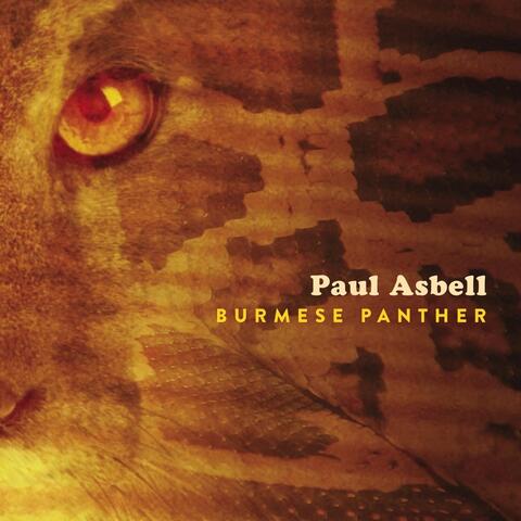 Burmese Panther