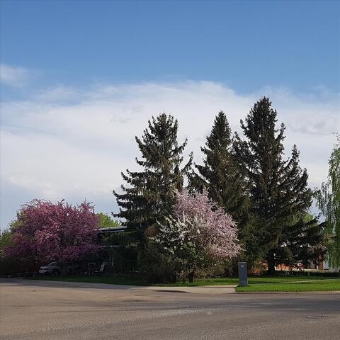 I Just Want You to Come Home