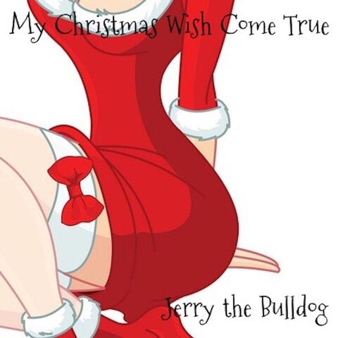 My Christmas Wish Come True
