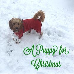 A Puppy for Christmas
