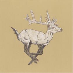 White Stag