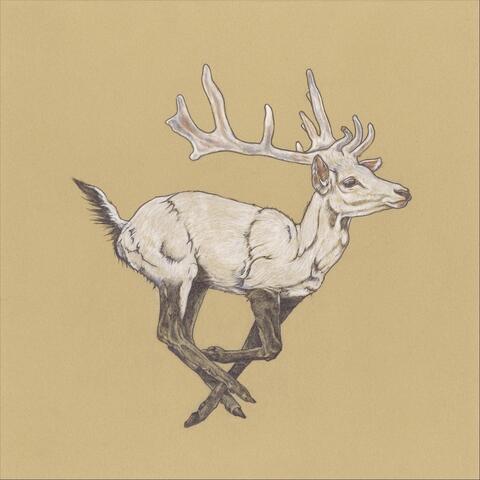White Stag