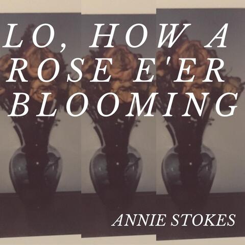 Lo, How a Rose E'er Blooming