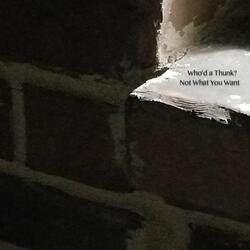 Mold