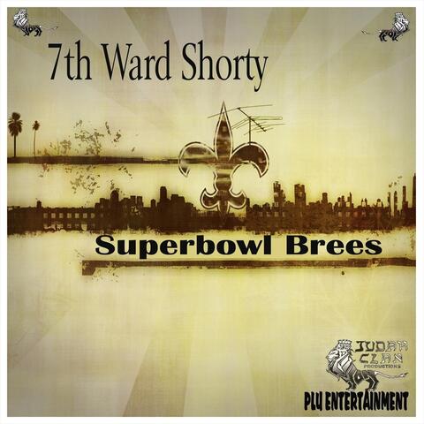 Superbowl Brees