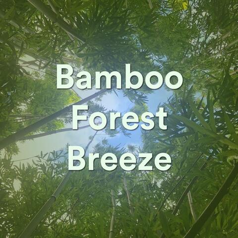 Bamboo Forest Breeze