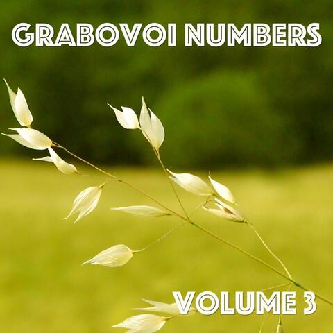 Grabovoi Numbers, Vol. 3