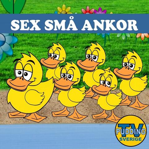 Sex små ankor