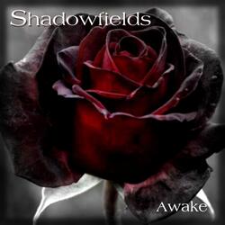 Awake