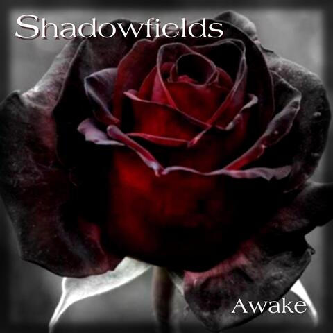 Awake