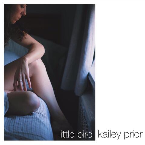 Little Bird