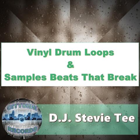 Vinyl Drum Loops & Samples Beats That Break