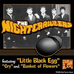 The Little Black Egg
