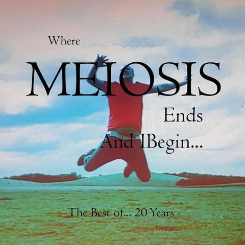 Where Meiosis Ends and I Begin... the Best of 20 Years of Meiosis