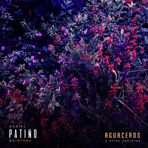 Aguaceros y Otras Sesiones (Feat. Patiño)