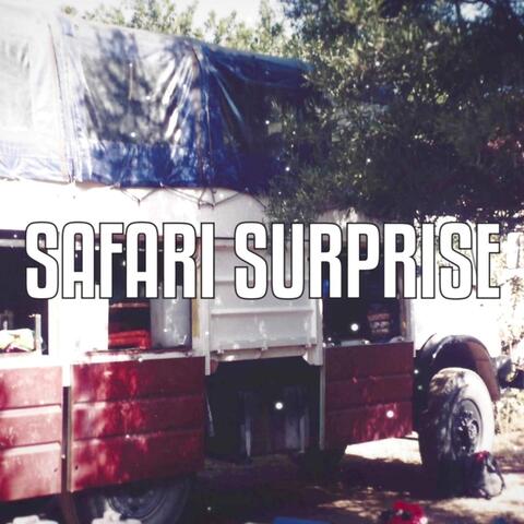 Safari Surprise