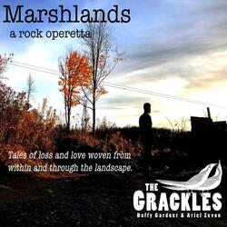 Marshlands