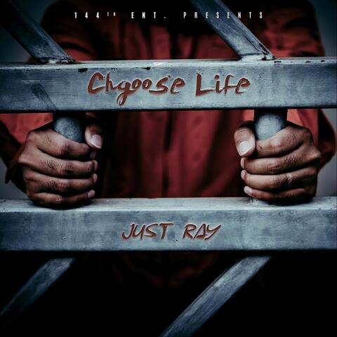 Chgoose Life