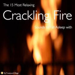 Steady and Crackling Outdoor Campfire Netherlands