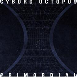 Enter the Cosmicycle I: Origination
