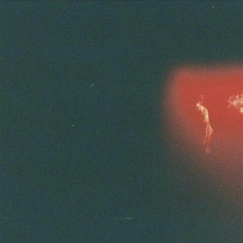 Flight of the Insomniac