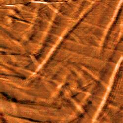 Oscar Conrad James (Extended Version)