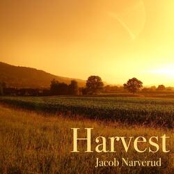 Harvest (Live)