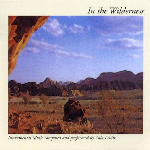 In the Wilderness
