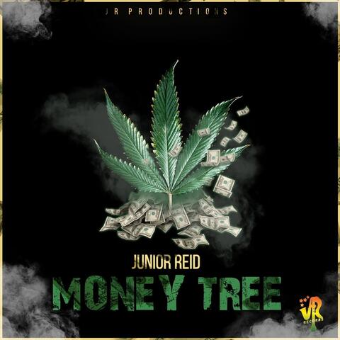 Money Tree