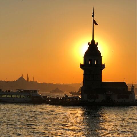 They Didn't Come Back