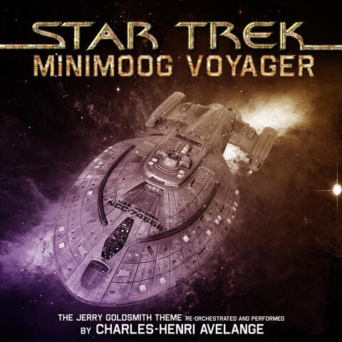 Star Trek Minimoog Voyager