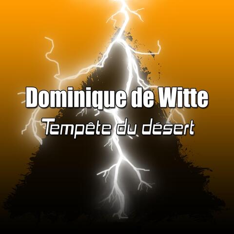 Tempête du désert