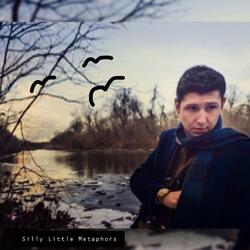 Silly Little Metaphors