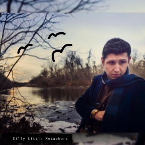 Silly Little Metaphors