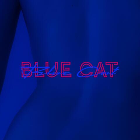 Blue Cat