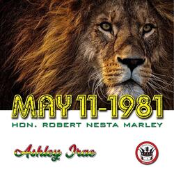 May 11-1981