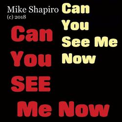 Can You See Me Now