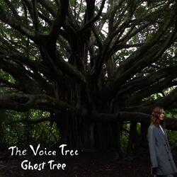 Ghost Tree