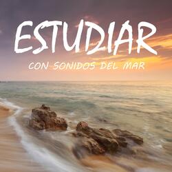 Sonidos del Mar para Estudiar, Pt. 11
