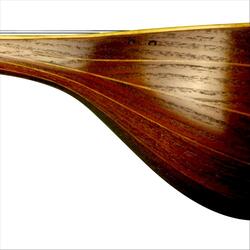 Learn Persian Setar, Lesson 20: Position of Ring Finger on Second String
